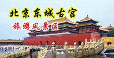 女生被男生艹的网站中国北京-东城古宫旅游风景区